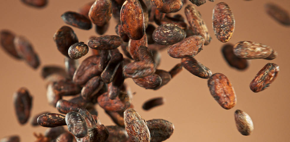 Cocoa Crunch: Surge In Cocoa Prices & Business Impact Explained - The 